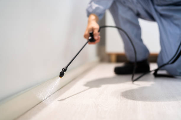 Licensed Pest Control service in New Hampshire, NH - Show Me Pest Control